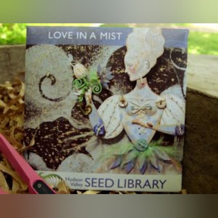 May contain: book, publication, art, painting, birthday cake, cake, cream, dessert, and food