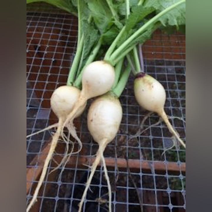 May contain: food and produce