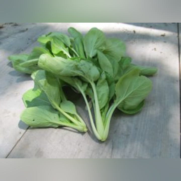 May contain: food, leafy green vegetable, plant, produce, and vegetable