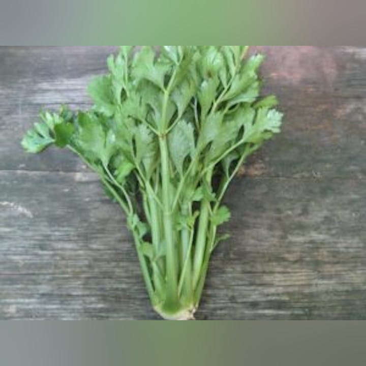 May contain: herbs, plant, and parsley