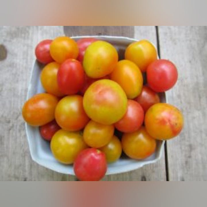 May contain: food, produce, plant, tomato, vegetable, and fruit