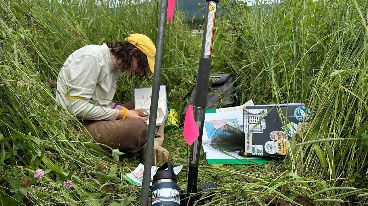 A person sits in tall grass, focusing on notes and maps, with gear and a water bottle nearby, engaged in outdoor fieldwork.