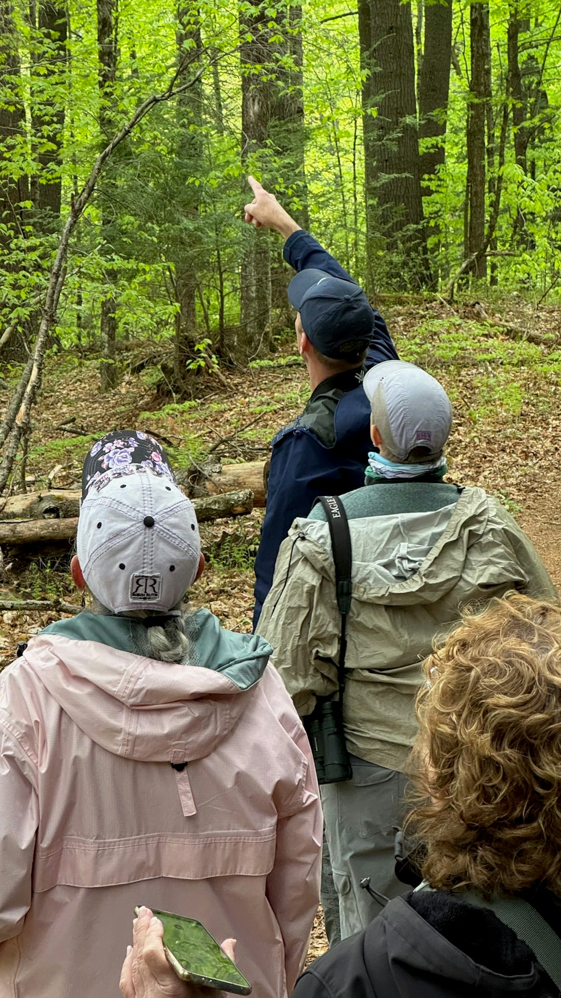 A group of people in a forest, with one person pointing at something ahead.