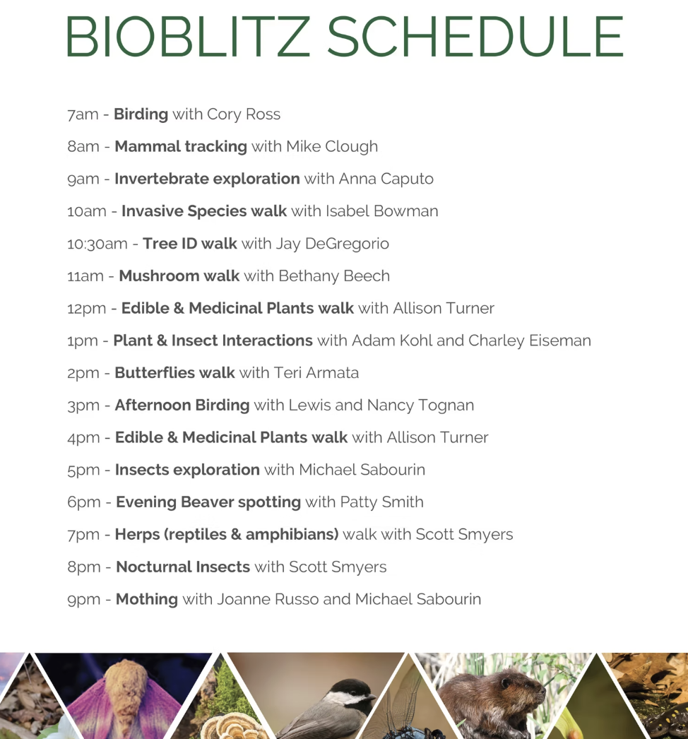 The image is a schedule for a BioBlitz event, outlining various nature exploration activities throughout the day with different guides.