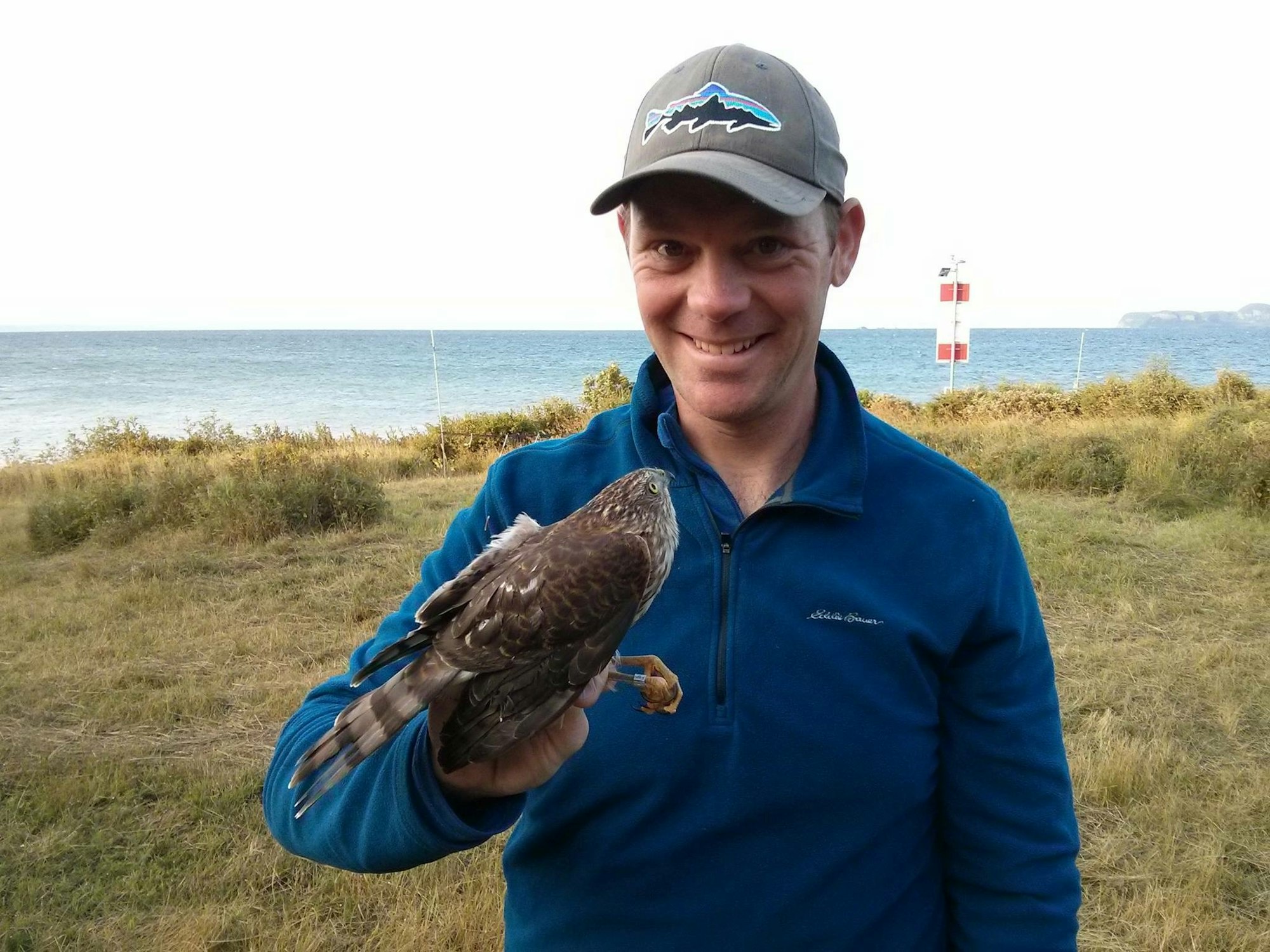A person holding a bird of prey with a seascape backdrop.