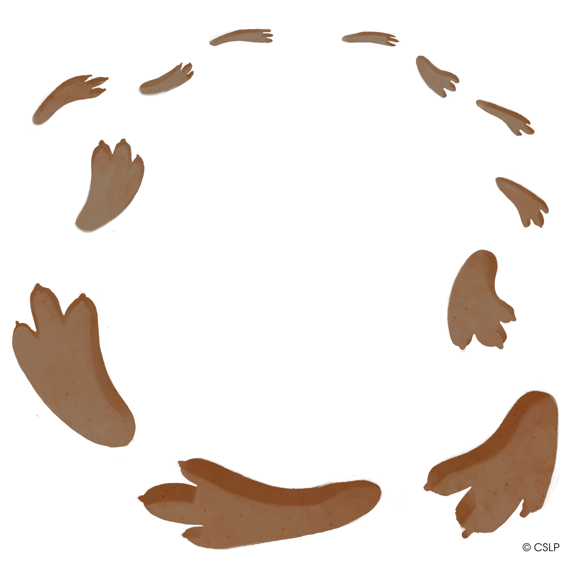 The image features several abstract orange shapes, resembling flowing or curved forms, arranged in a circular pattern.