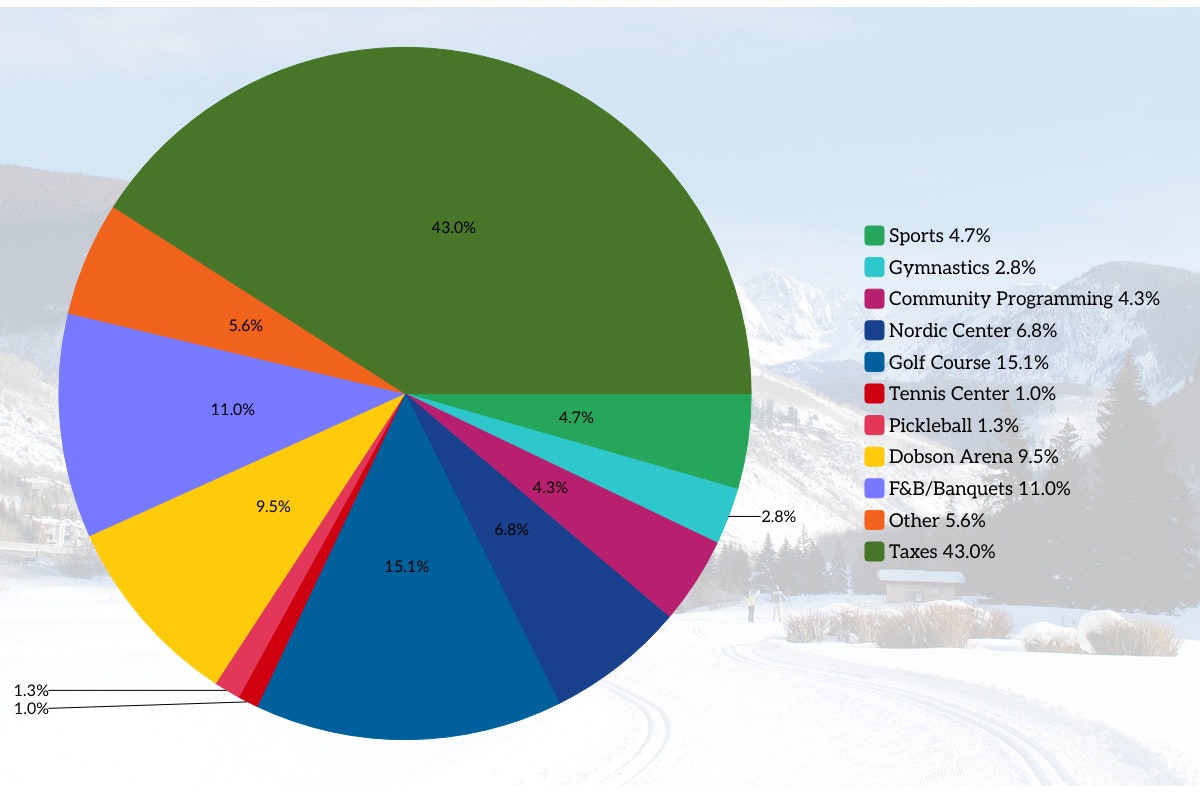 Colorful pie chart with various categories and percentages, with a snowy mountain landscape in the background.