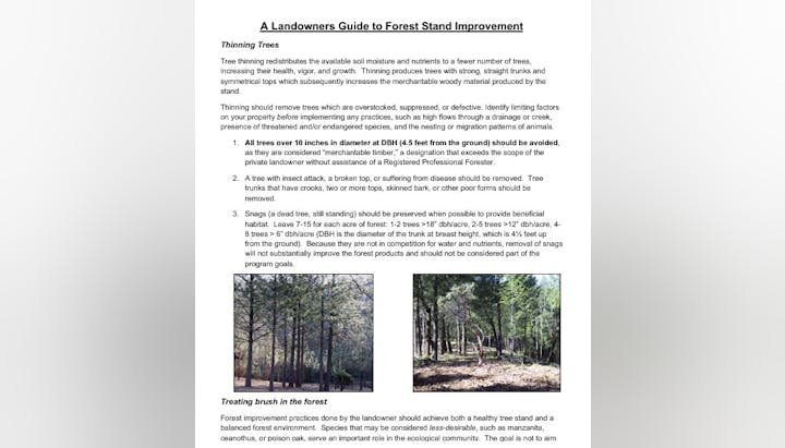 Landowners' guide on tree thinning and forest improvement, including tips on removing sick trees, preserving snags, and treating brush.