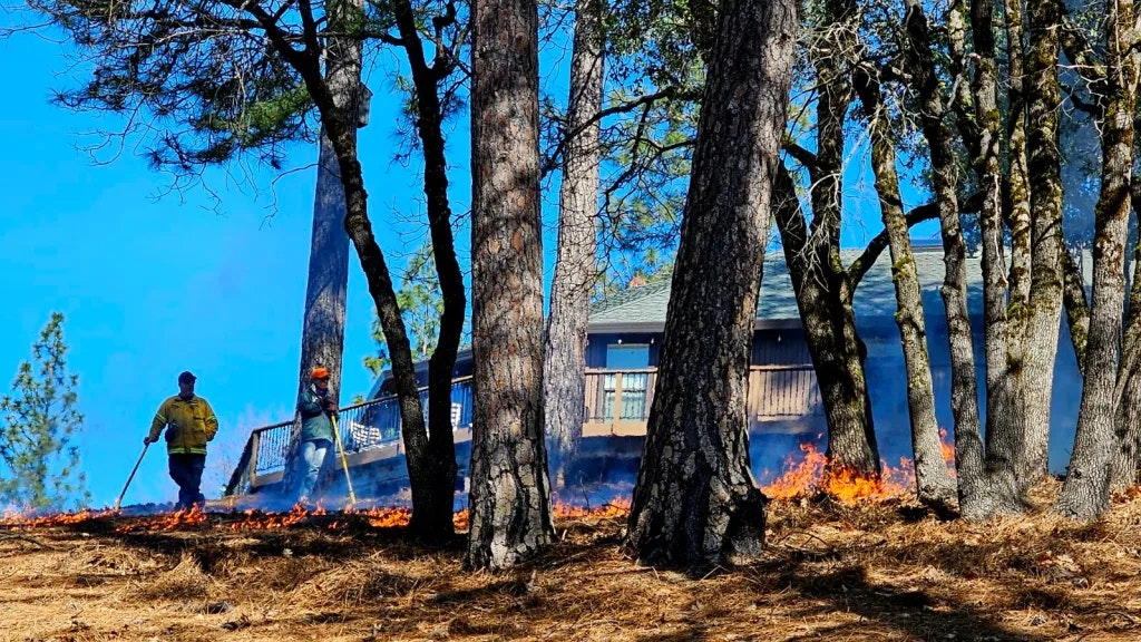 Controlled burn in a forest with two firefighters and a cabin in the background.