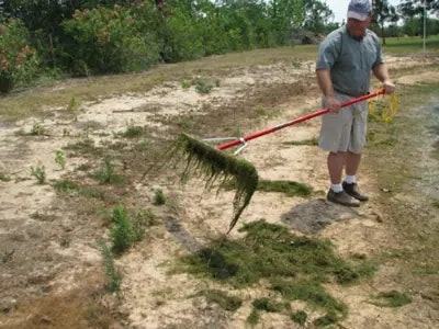 man raking