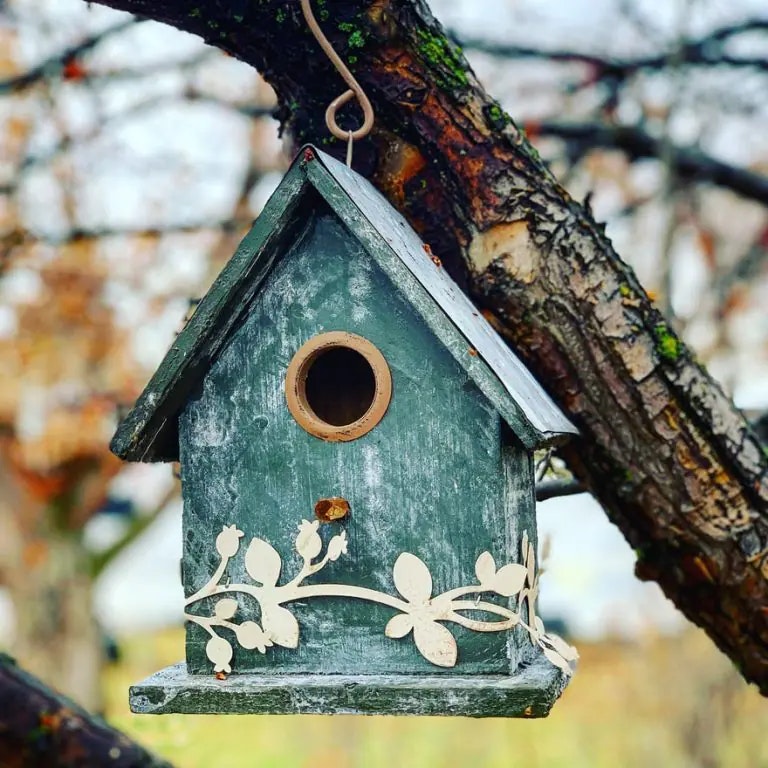 birdhouse in tree