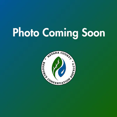 Placeholder image stating "Photo Coming Soon" with Nevada County Resource Conservation District logo.