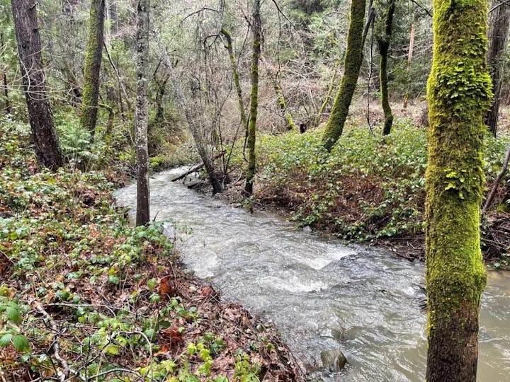 Woodpecker Ravine