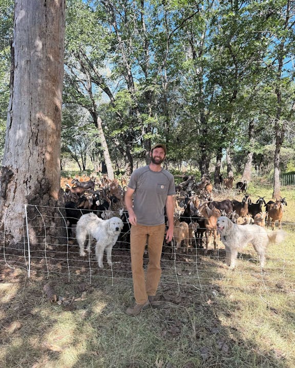 Tim VanWagner managing grazing for wildfire safety.