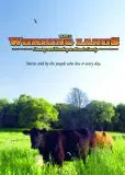 book cover, cow in a field
