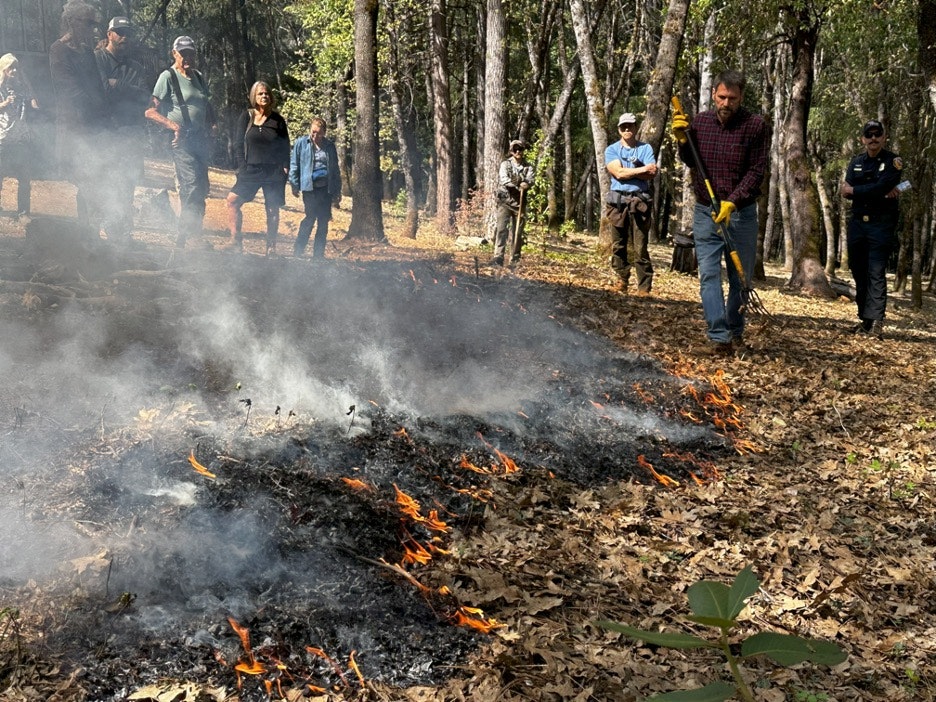 People observing a controlled burn in a forest, with some wielding tools.