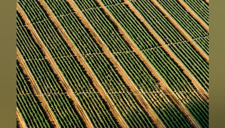 May contain: outdoors, nature, countryside, rural, farm, and aerial view