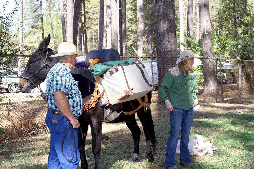 donkey with pack