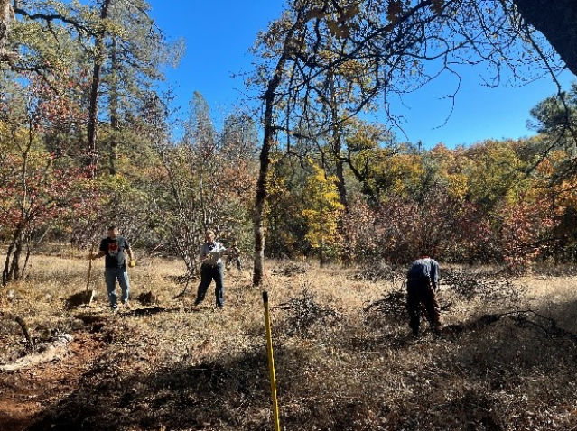 Three individuals working outdoors, surrounded by trees and foliage, under a clear blue sky.