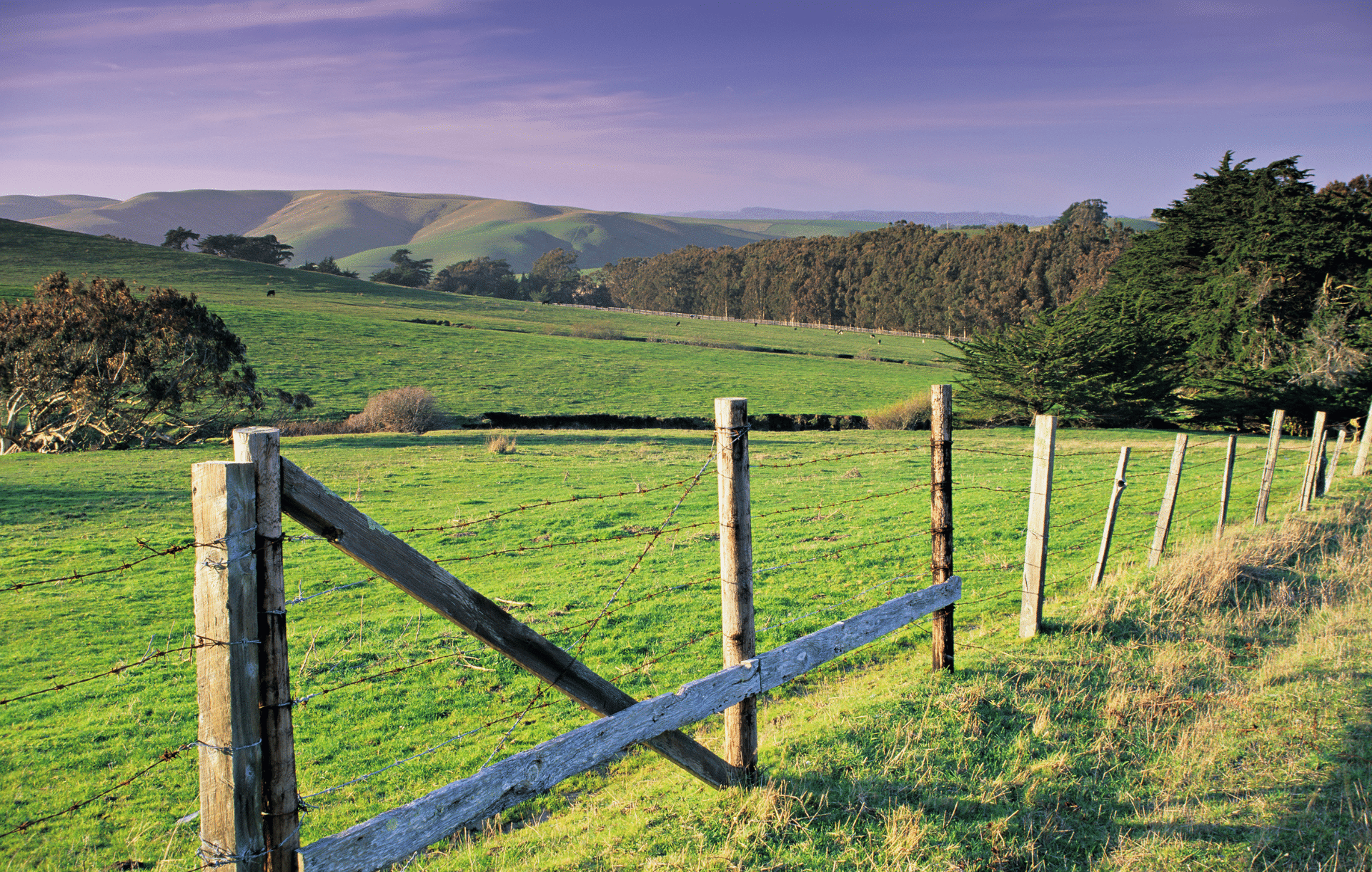 May contain: field, grassland, nature, outdoors, countryside, farm, pasture, rural, meadow, and ranch