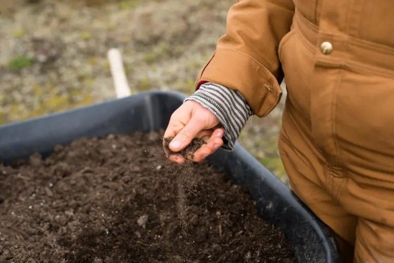 farmer holding dirt, wheel barrow