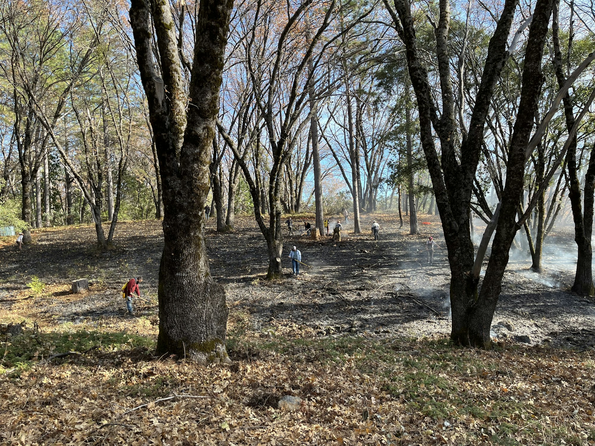 People are managing a controlled burn in a forested area with smoke and fallen leaves.