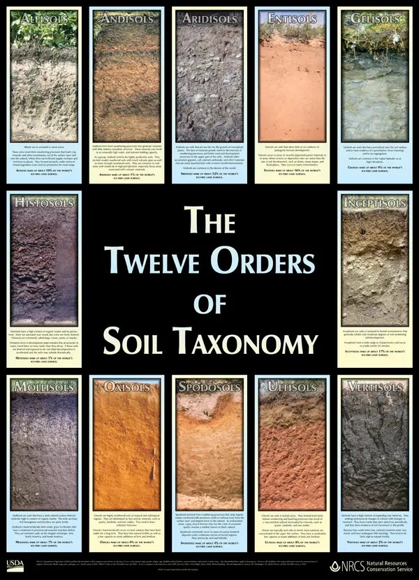 collage of images of types of soil