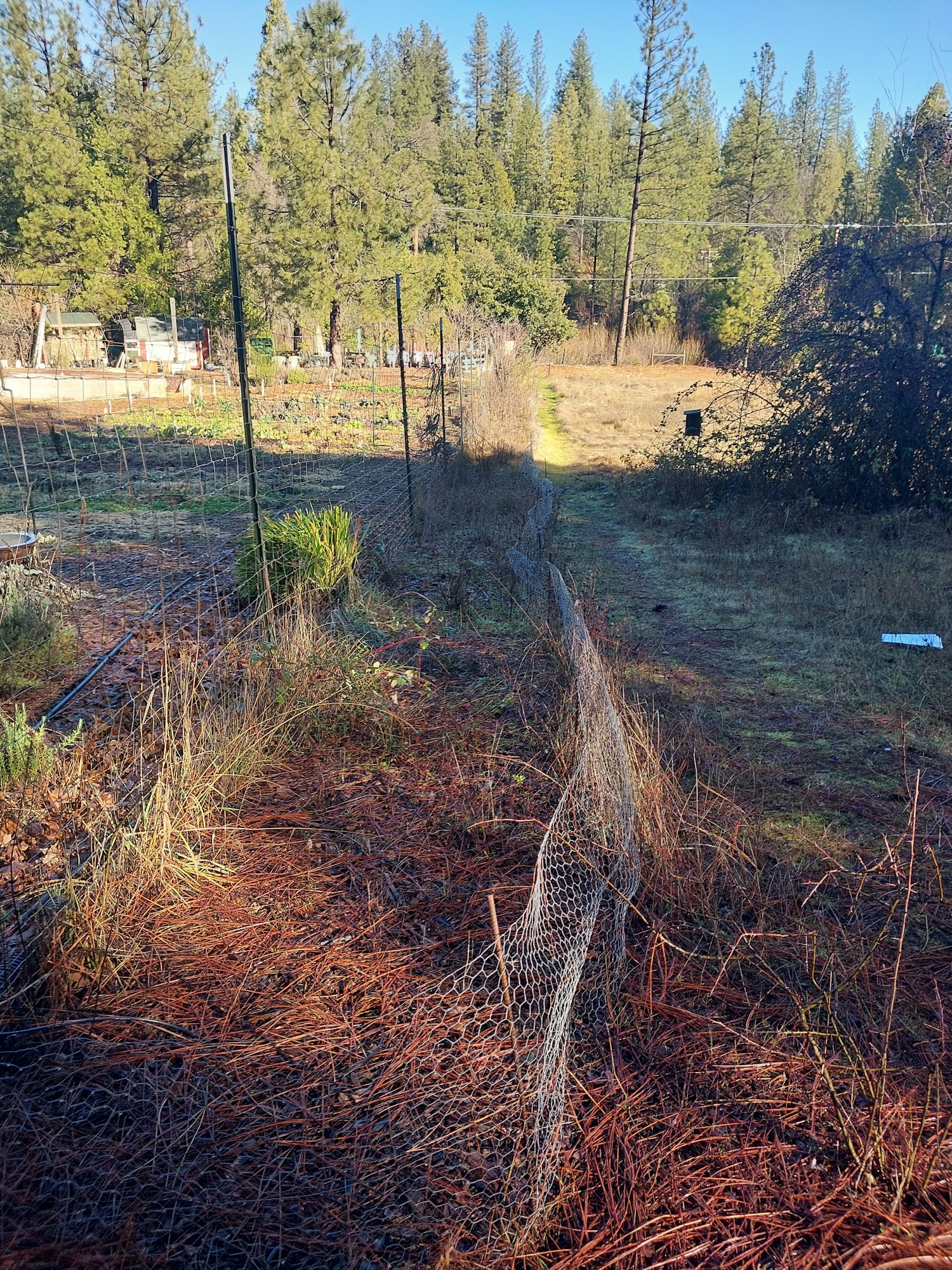 Rural landscape with fence, vegetation, and clear sky; image rotated 90 degrees clockwise.