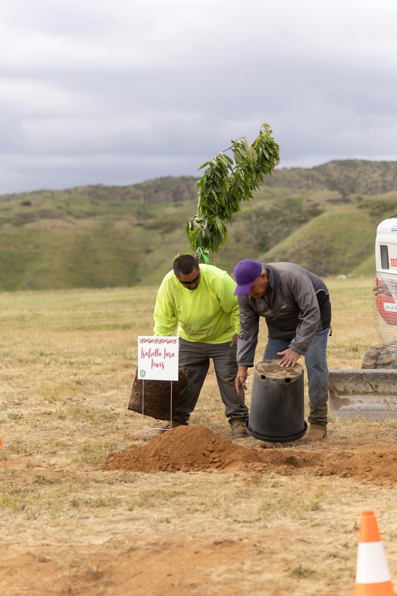 Two men planting a tree in a field, with a sign that reads "Isabella Tara Lewis."