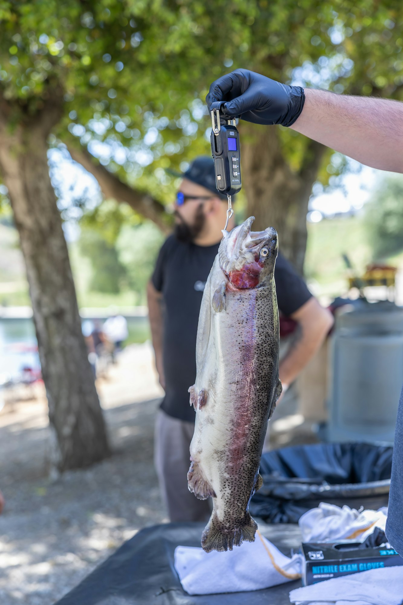 A person weighs a large fish with a digital scale outdoors; another person is in the background.