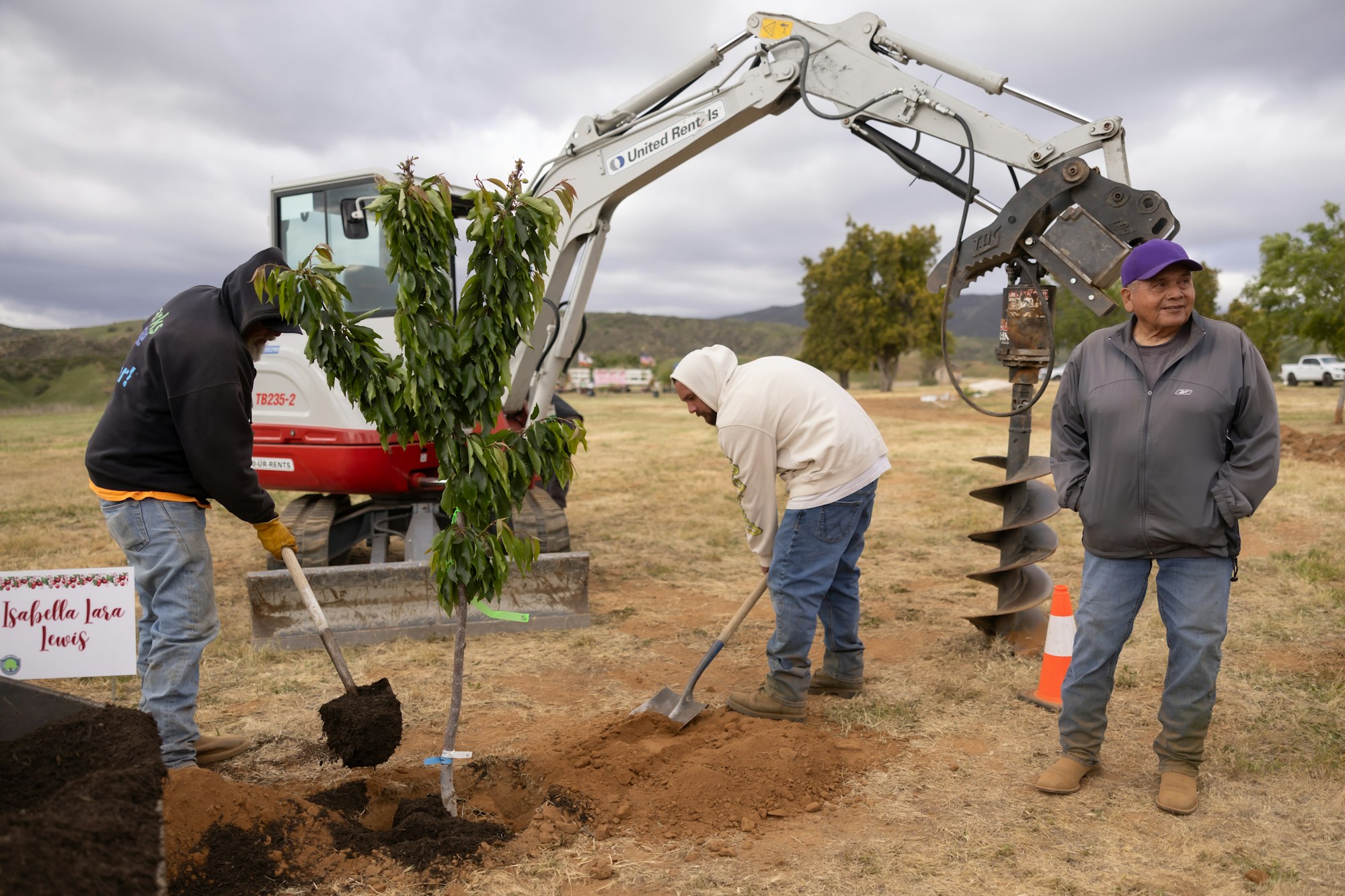 May contain: soil, clothing, glove, person, worker, plant, planting, footwear, shoe, hardhat, helmet, pickup truck, transportation, truck, vehicle, adult, male, man, pants, device, shovel, and tool