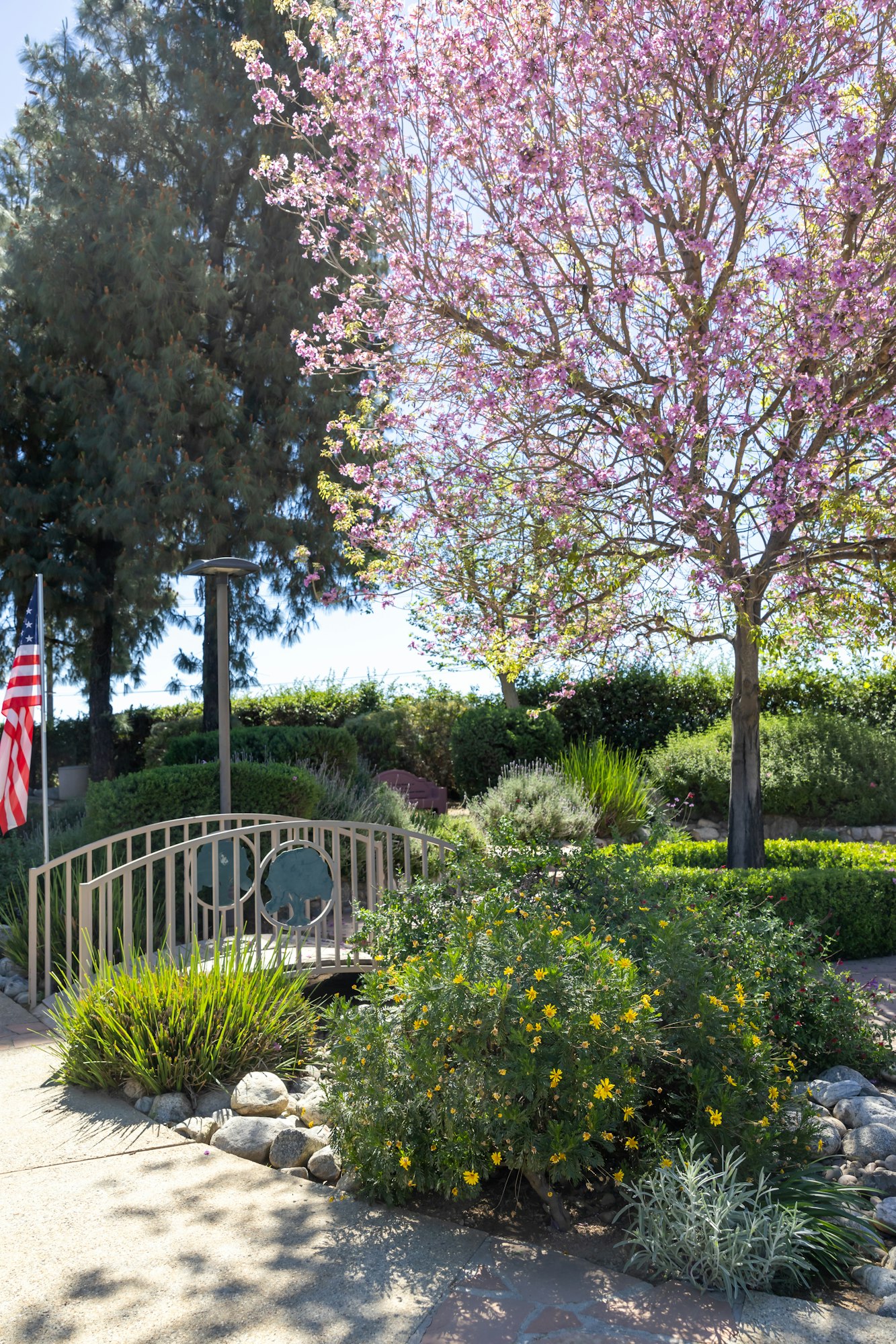 A peaceful garden scene featuring a decorative bridge, blooming pink trees, greenery, and an American flag in the background.