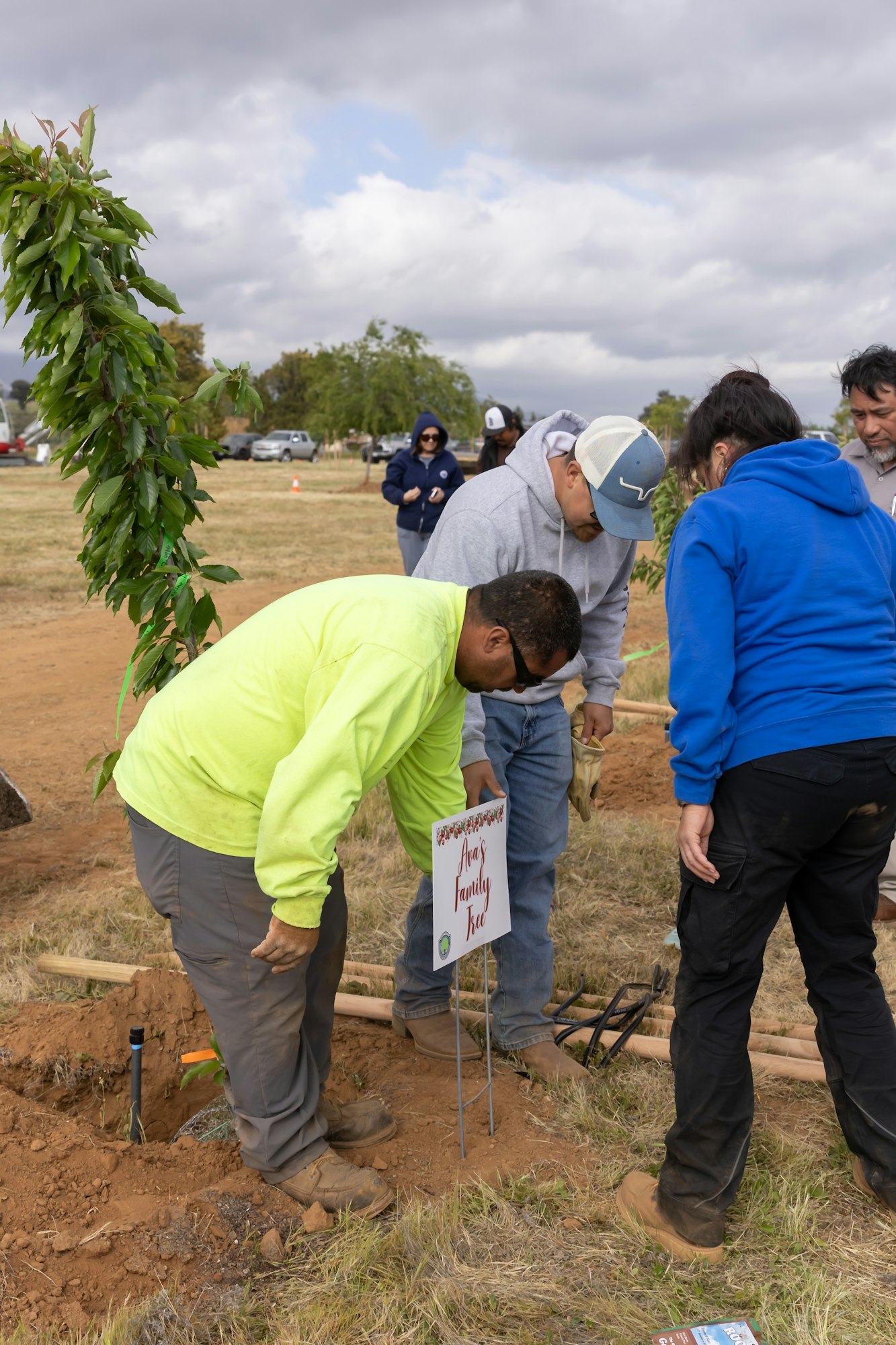 A group planting a tree with a sign labeled "Ana's Family Tree" in a grassy area.