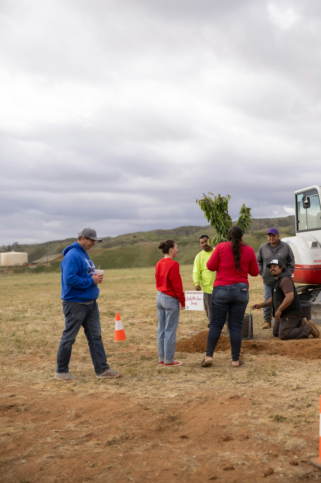People planting a tree in an open field, with a tractor nearby and a cloudy sky above.