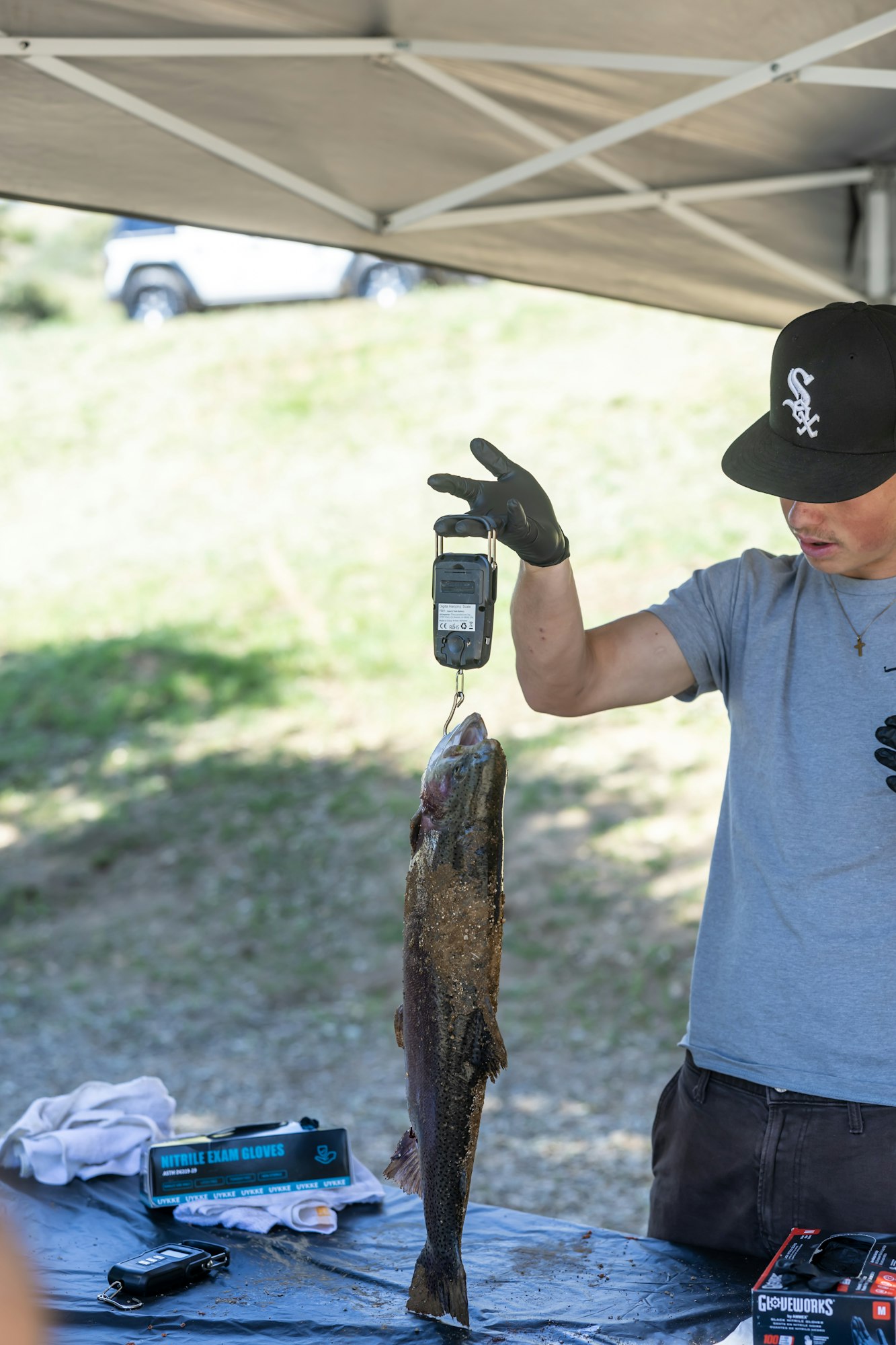 Person weighing a fish under a tent using a digital scale.