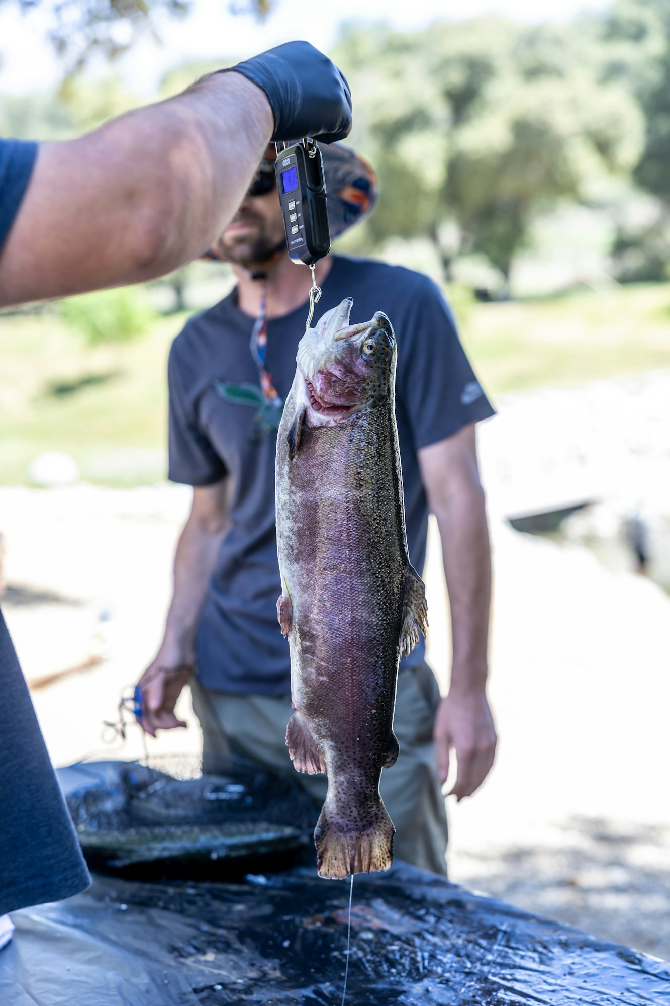 A person weighing a fish on a digital scale outdoors.