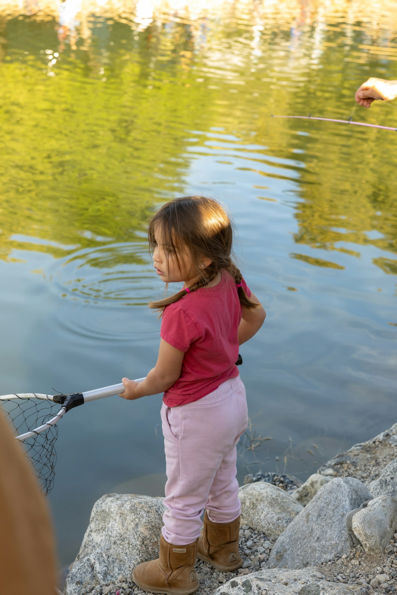 A child is holding a net standing by a pond, with a fishing rod nearby.