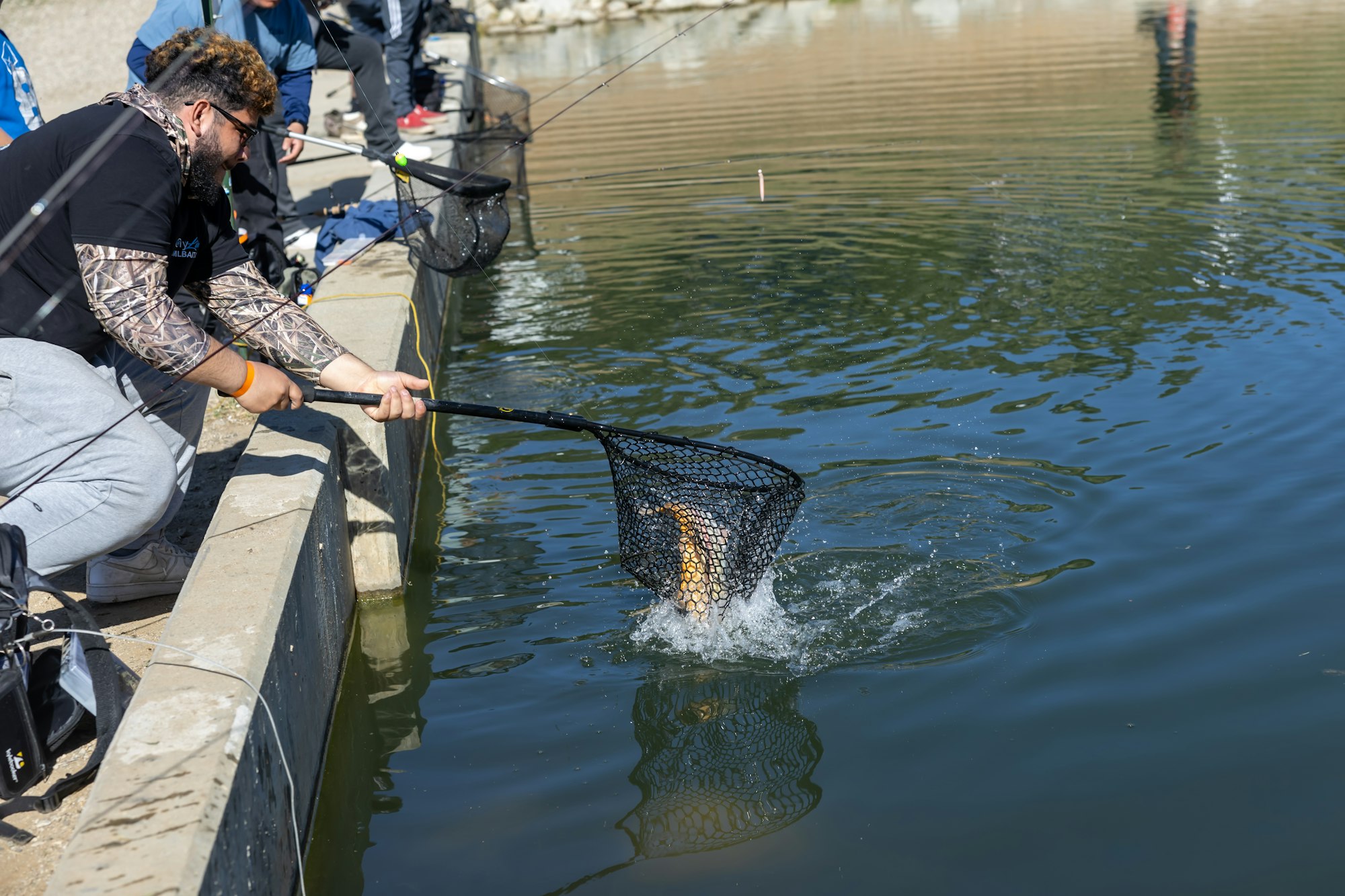 A person catches a fish with a net while fishing by a pond with others nearby.