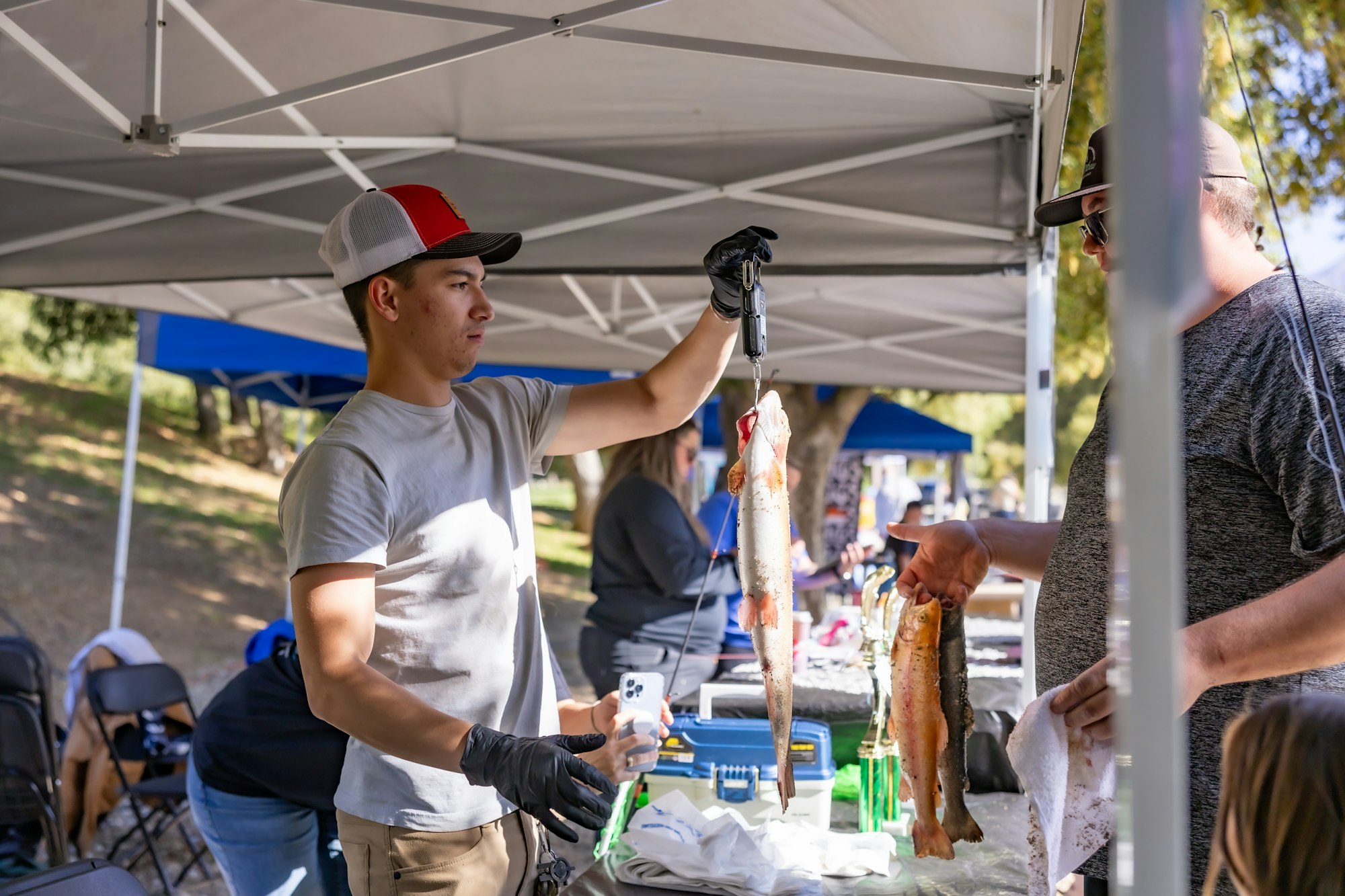 Two people in a tent are weighing and examining freshly caught fish.
