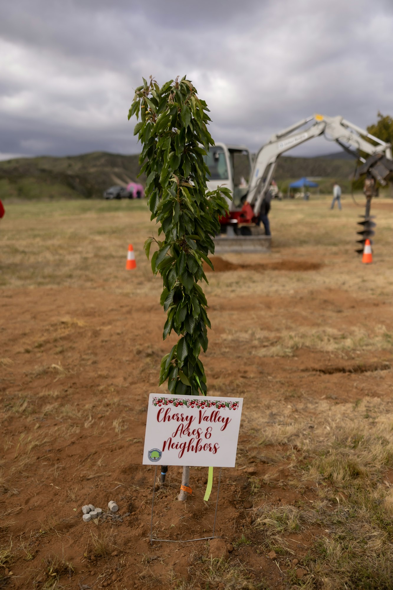 A small tree with a sign reading "Cherry Valley Acres & Neighbors" in a field, with construction equipment in the background.