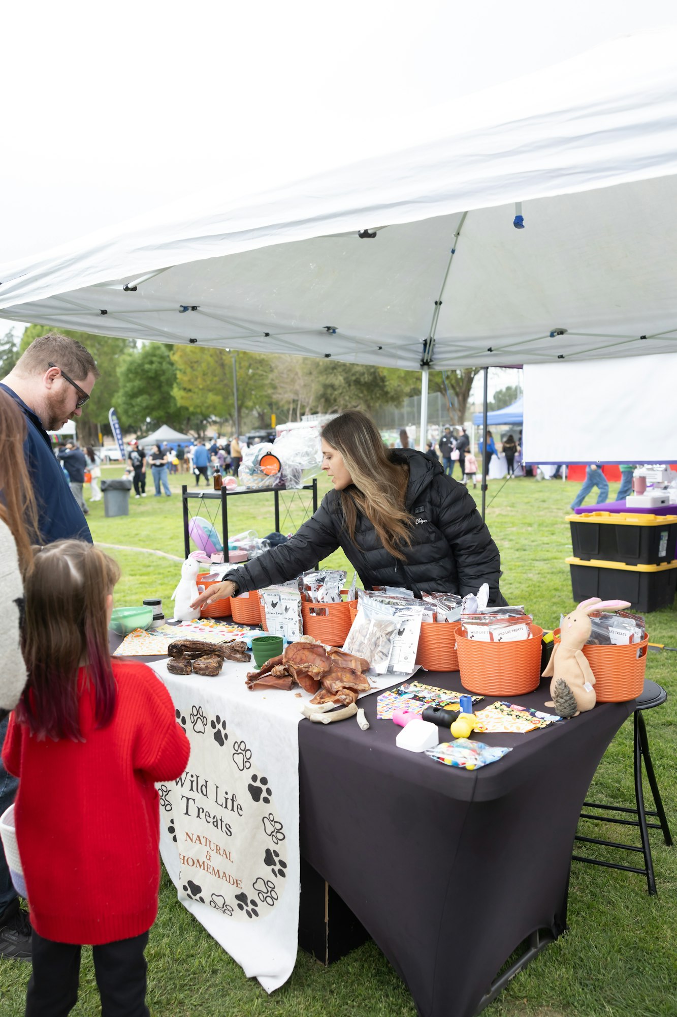 Outdoor market stall selling pet treats. People browsing. "Wild Life Treats: Natural & Homemade" banner displayed.