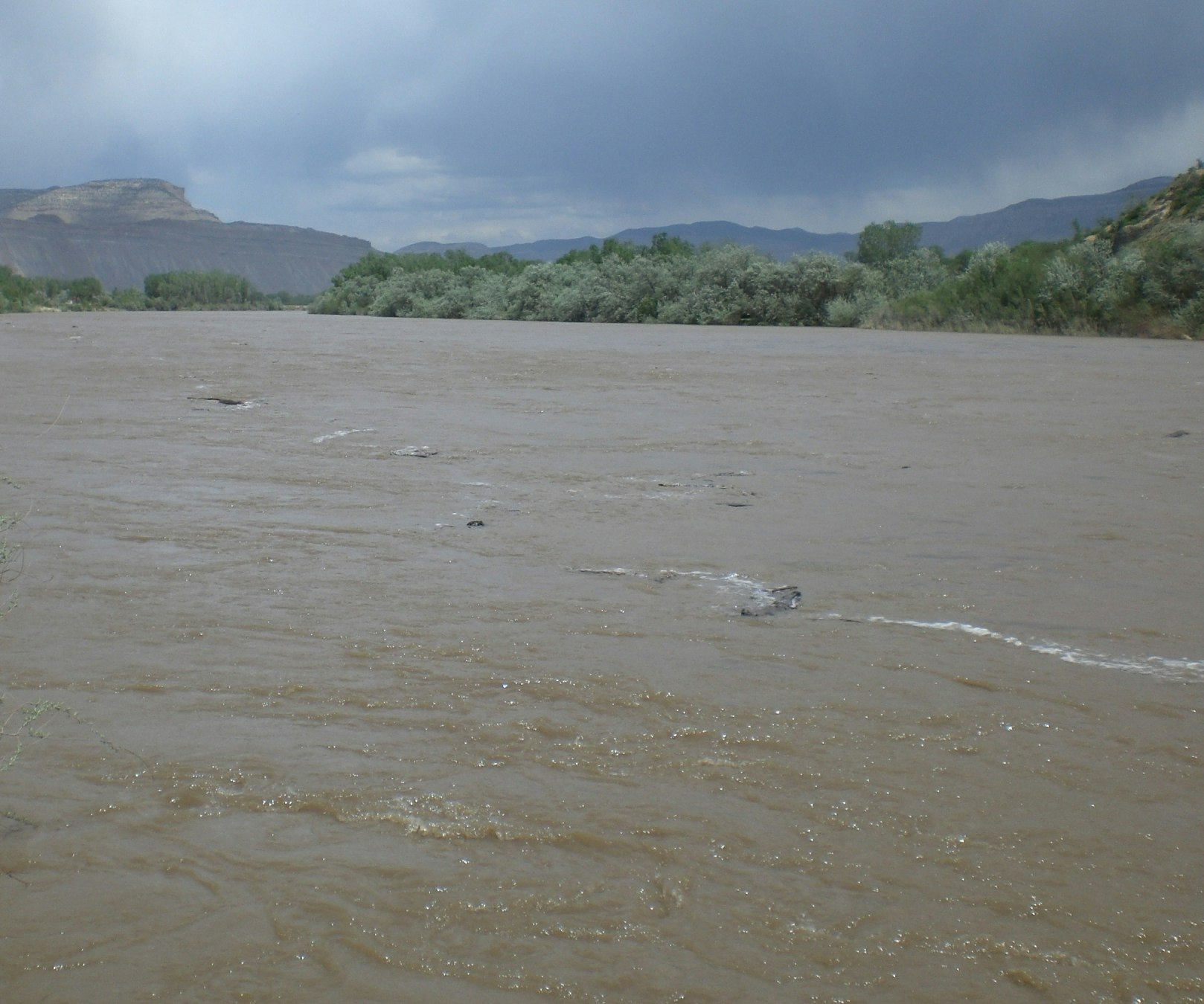 A muddy river flows through a valley, surrounded by trees and mountains under a cloudy sky.