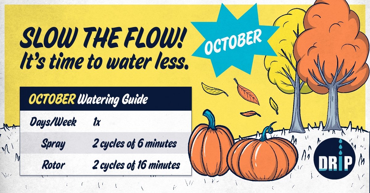 October watering guide: Water 1x/week. Spray: 2x6min, Rotor: 2x16min. "Slow the flow! It’s time to water less."