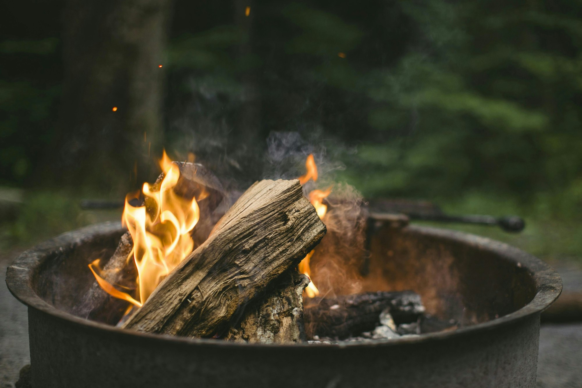 A campfire with burning wood and visible flames in a fire pit, surrounded by a forest.