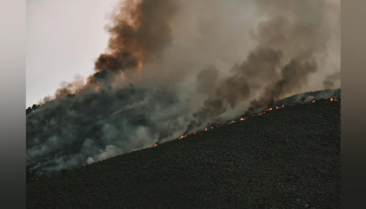 A hillside is engulfed in flames and smoke, indicating a wildfire in a natural landscape.