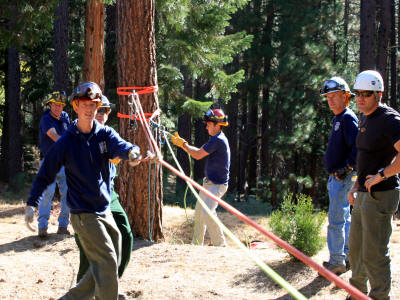 People in hard hats using a tool in a forest setting.