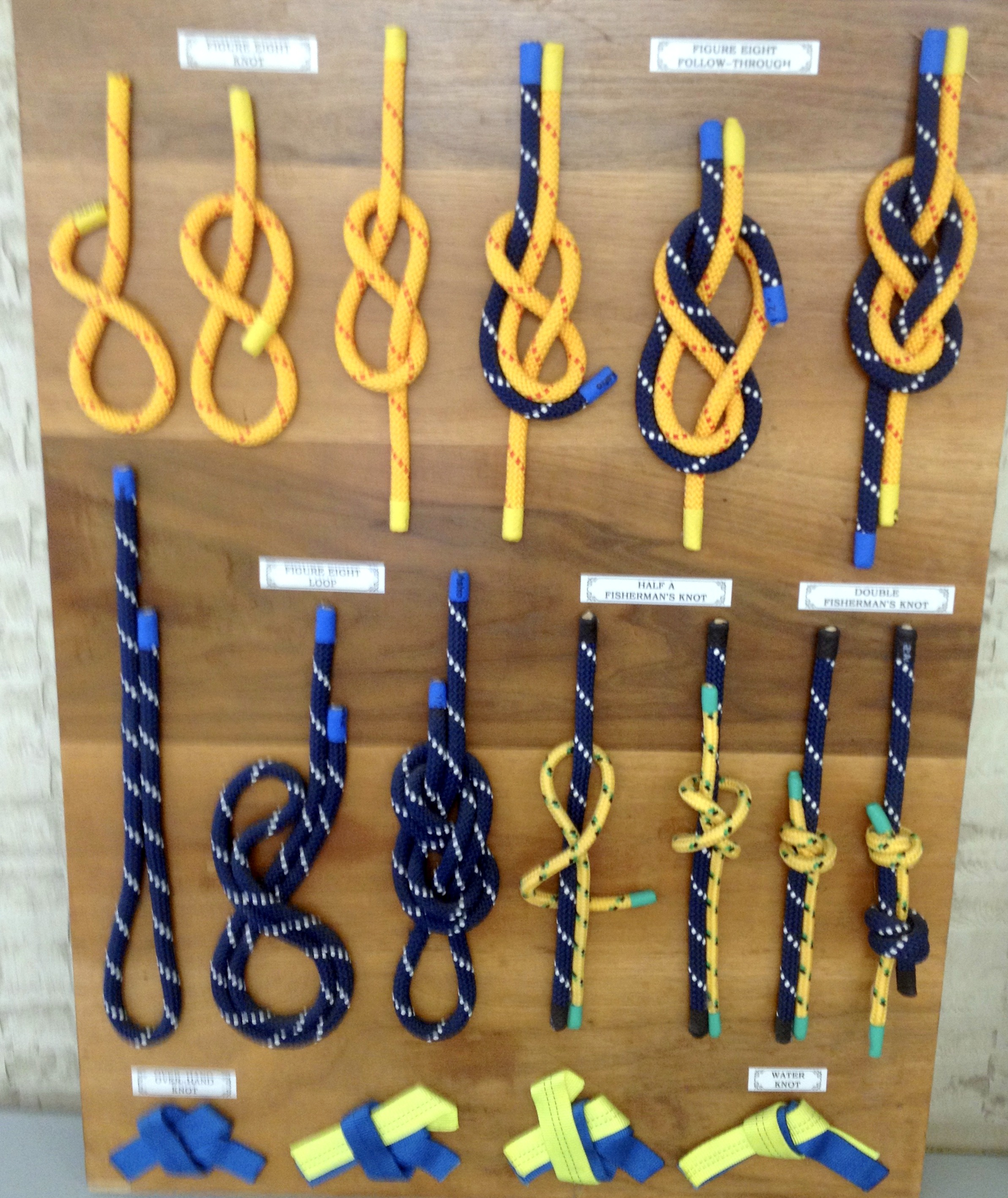 Board with various types of knots displayed, labeled for instructional purposes.
