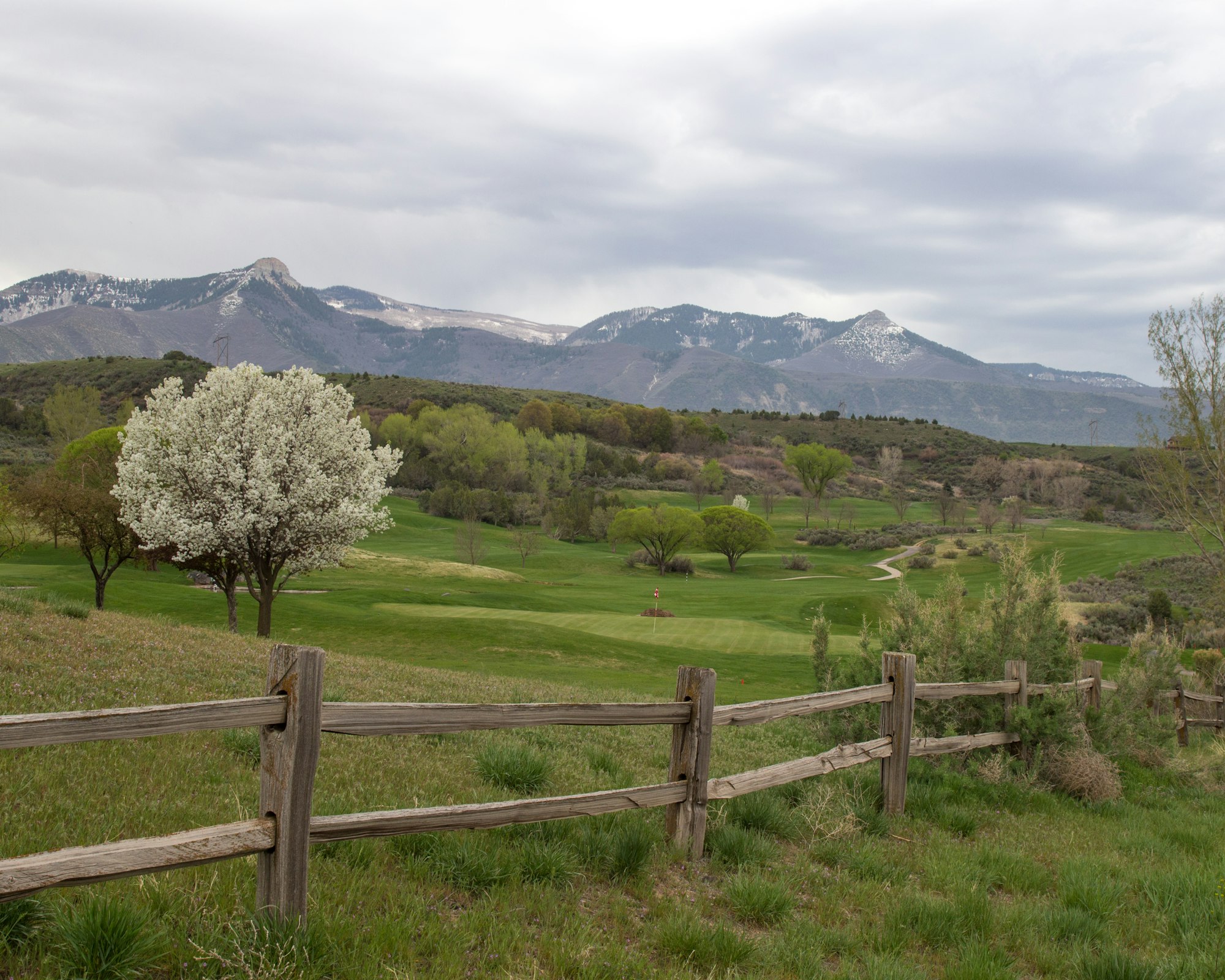 A scenic landscape featuring a grassy area with trees, a wooden fence, and mountains in the background under a cloudy sky.