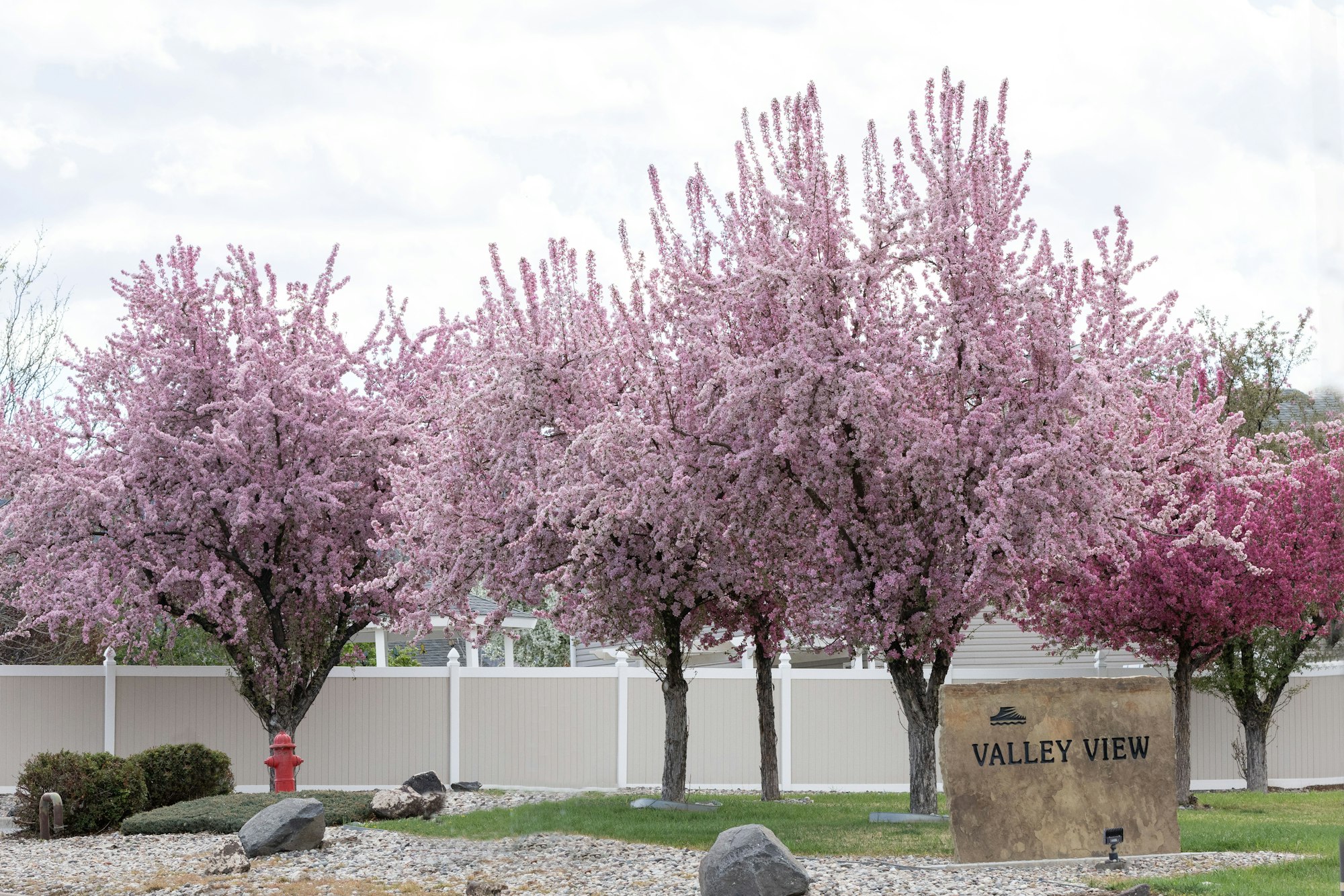 A row of pink flowering trees near a stone sign that reads "Valley View," set against a cloudy sky.