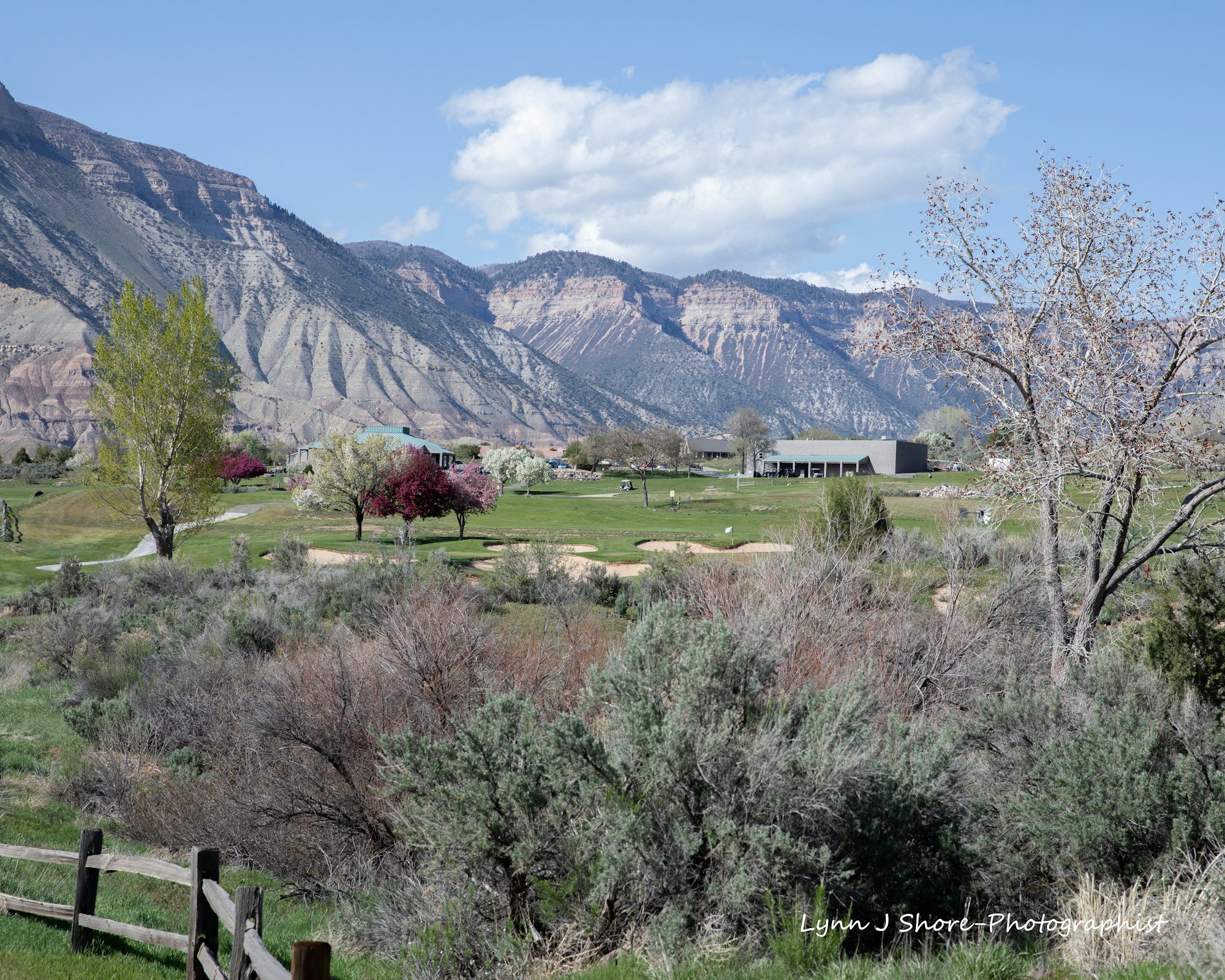 A scenic view of a golf course surrounded by mountains, with blooming trees and lush greenery under a bright blue sky.